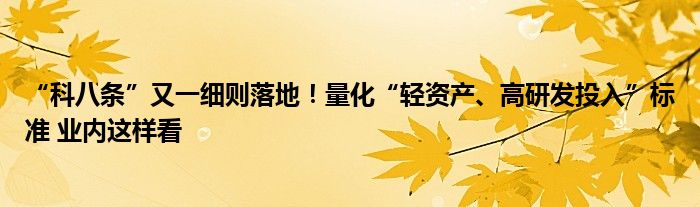 “科八条”又一细则落地!量化“轻资产、高研发投入”标准 业内这样看