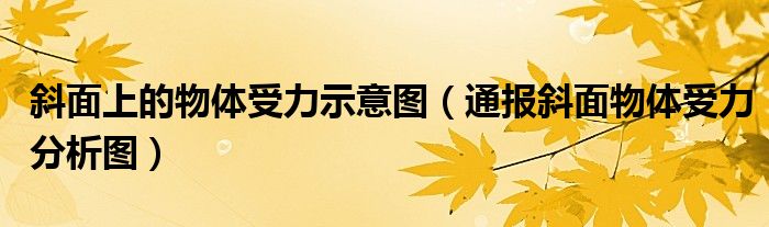 斜面上的物体受力示意图(通报斜面物体受力分析图)