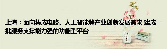 上海:面向集成电路、人工智能等产业创新发展需求 建成一批服务支撑能力强的功能型平台