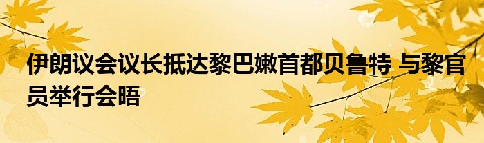 伊朗议会议长抵达黎巴嫩首都贝鲁特 与黎官员举行会晤