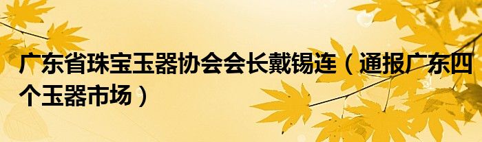 广东省珠宝玉器协会会长戴锡连(通报广东四个玉器市场)