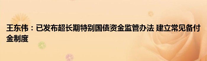 王东伟:已发布超长期特别国债资金监管办法 建立常见备付金制度