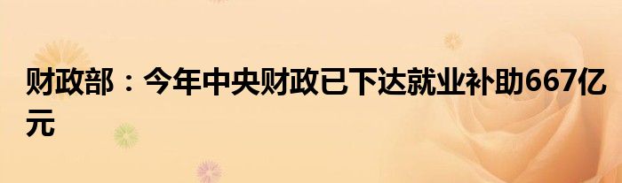 财政部:今年中央财政已下达就业补助667亿元