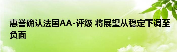 惠誉确认法国AA-评级 将展望从稳定下调至负面