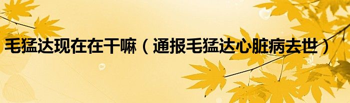 毛猛达现在在干嘛(通报毛猛达心脏病去世)