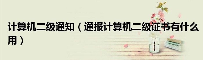 计算机二级通知(通报计算机二级证书有什么用)