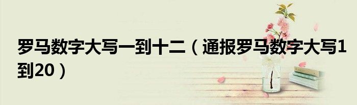 罗马数字大写一到十二(通报罗马数字大写1到20)