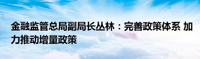 金融监管总局副局长丛林:完善政策体系 加力推动增量政策