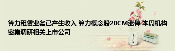 算力租赁业务已产生收入 算力概念股20CM涨停 本周机构密集调研相关上市公司
