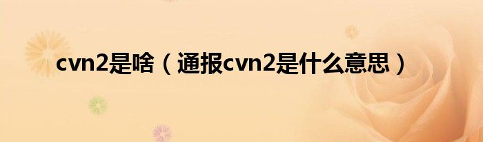 cvn2是啥(通报cvn2是什么意思)