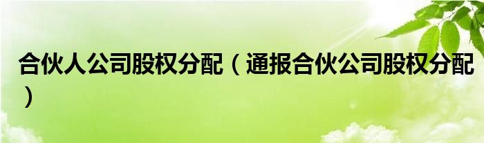 合伙人公司股权分配(通报合伙公司股权分配)