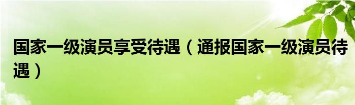 国家一级演员享受待遇(通报国家一级演员待遇)