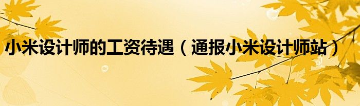 小米设计师的工资待遇(通报小米设计师站)