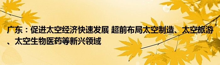 广东:促进太空经济快速发展 超前布局太空制造、太空旅游、太空生物医药等新兴领域