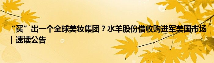 “买”出一个全球美妆集团?水羊股份借收购进军美国市场|速读公告