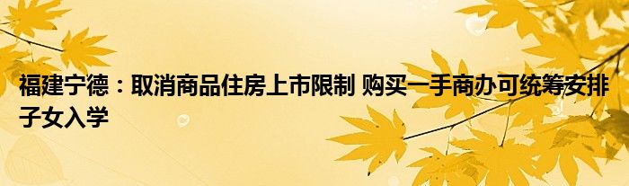 福建宁德:取消商品住房上市限制 购买一手商办可统筹安排子女入学