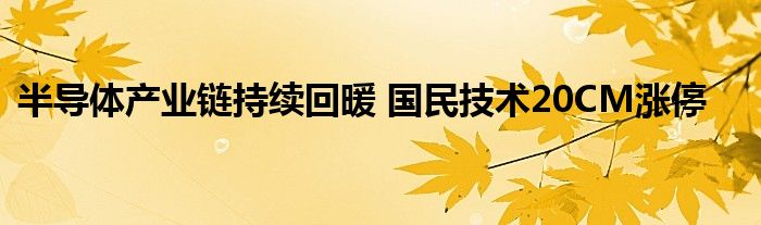 半导体产业链持续回暖 国民技术20CM涨停