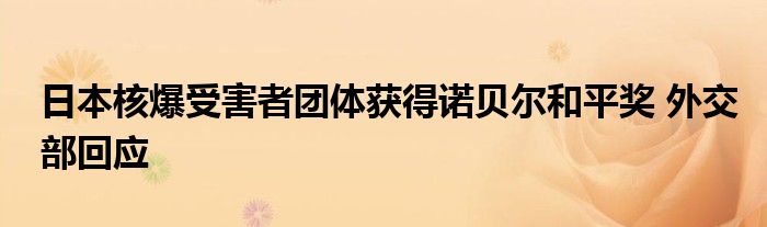 日本核爆受害者团体获得诺贝尔和平奖 外交部回应