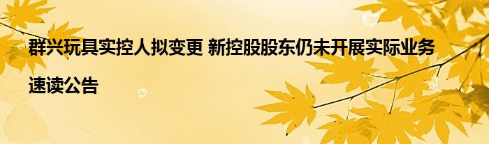 群兴玩具实控人拟变更 新控股股东仍未开展实际业务|速读公告