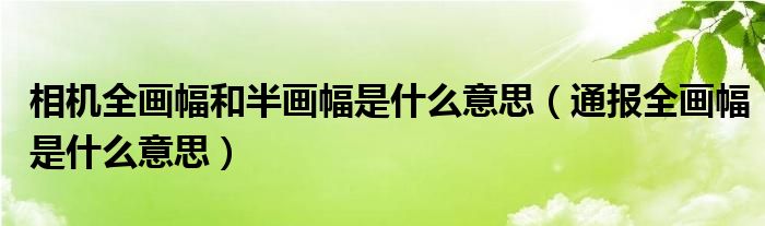 相机全画幅和半画幅是什么意思(通报全画幅是什么意思)