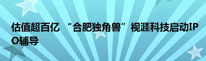 估值超百亿 “合肥独角兽”视涯科技启动IPO辅导