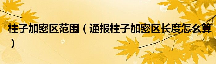 柱子加密区范围(通报柱子加密区长度怎么算)