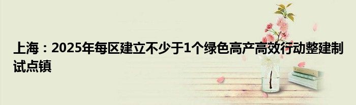 上海:2025年每区建立不少于1个绿色高产高效行动整建制试点镇