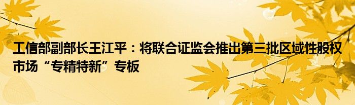 工信部副部长王江平:将联合证监会推出第三批区域性股权市场“专精特新”专板