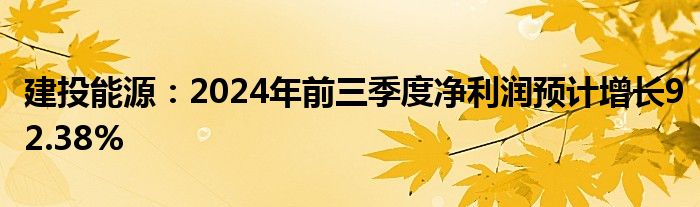 建投能源:2024年前三季度净利润预计增长92.38%