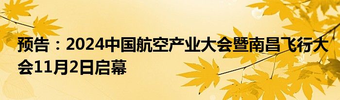 预告:2024中国航空产业大会暨南昌飞行大会11月2日启幕