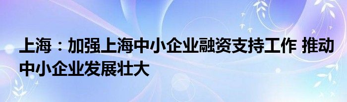 上海:加强上海中小企业融资支持工作 推动中小企业发展壮大