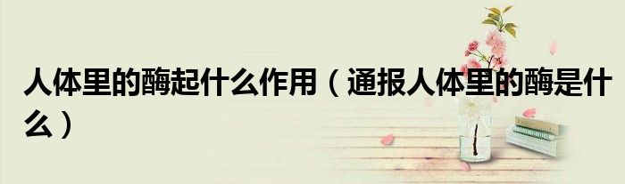人体里的酶起什么作用(通报人体里的酶是什么)