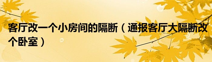 客厅改一个小房间的隔断(通报客厅大隔断改个卧室)