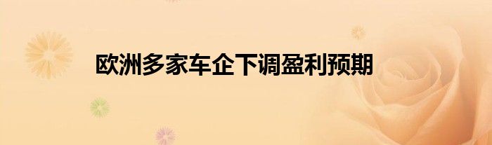 欧洲多家车企下调盈利预期