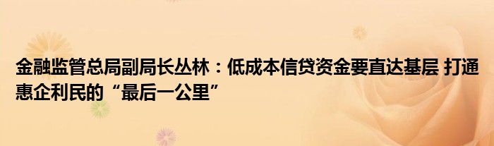 金融监管总局副局长丛林:低成本信贷资金要直达基层 打通惠企利民的“最后一公里”