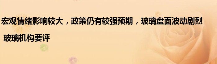 宏观情绪影响较大,政策仍有较强预期,玻璃盘面波动剧烈 | 玻璃机构要评