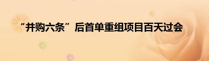 “并购六条”后首单重组项目百天过会