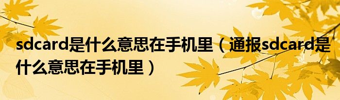 sdcard是什么意思在手机里(通报sdcard是什么意思在手机里)