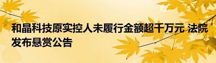 和晶科技原实控人未履行金额超千万元 法院发布悬赏公告