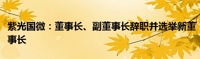 紫光国微:董事长、副董事长辞职并选举新董事长