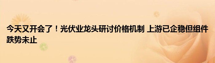 今天又开会了!光伏业龙头研讨价格机制 上游已企稳但组件跌势未止