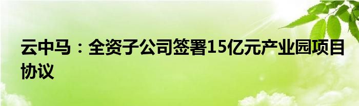 云中马:全资子公司签署15亿元产业园项目协议