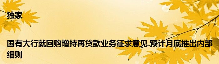 独家|国有大行就回购增持再贷款业务征求意见 预计月底推出内部细则