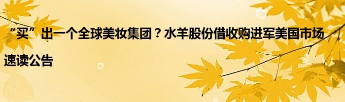 “买”出一个全球美妆集团?水羊股份借收购进军美国市场|速读公告