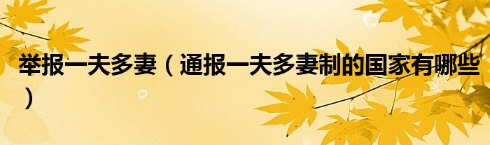 举报一夫多妻(通报一夫多妻制的国家有哪些)