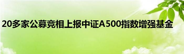 20多家公募竞相上报中证A500指数增强基金