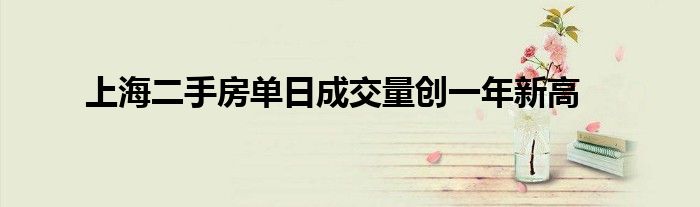 上海二手房单日成交量创一年新高