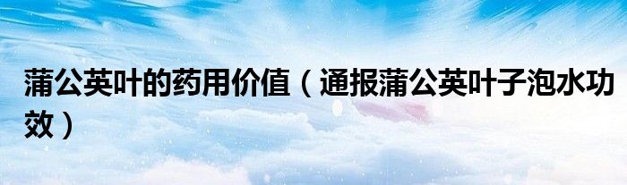 蒲公英叶的药用价值(通报蒲公英叶子泡水功效)