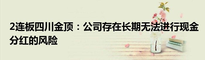 2连板四川金顶：公司存在长期无法进行现金分红的风险