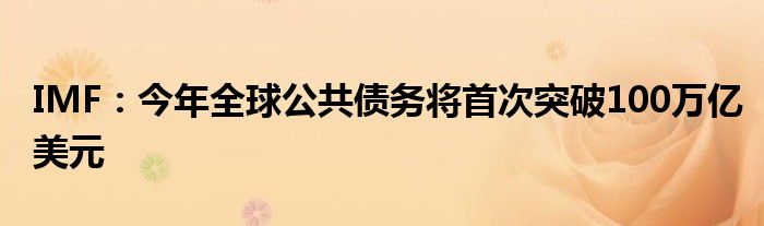 IMF:今年全球公共债务将首次突破100万亿美元